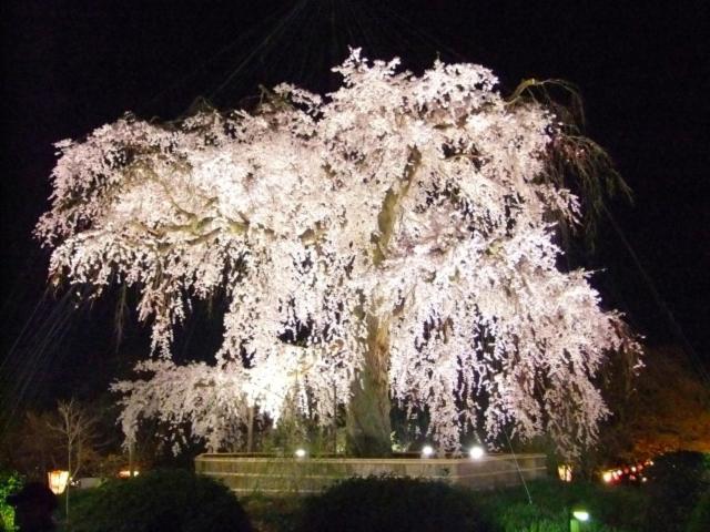 Rejoice Stay Kyoto Nijojo Minami Экстерьер фото
